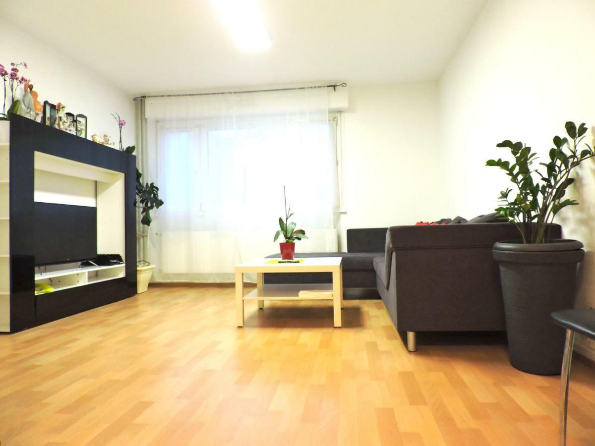 Private Big Appartment 59M2 - Near Airport Basel St Louis Saint-Louis  Exteriér fotografie