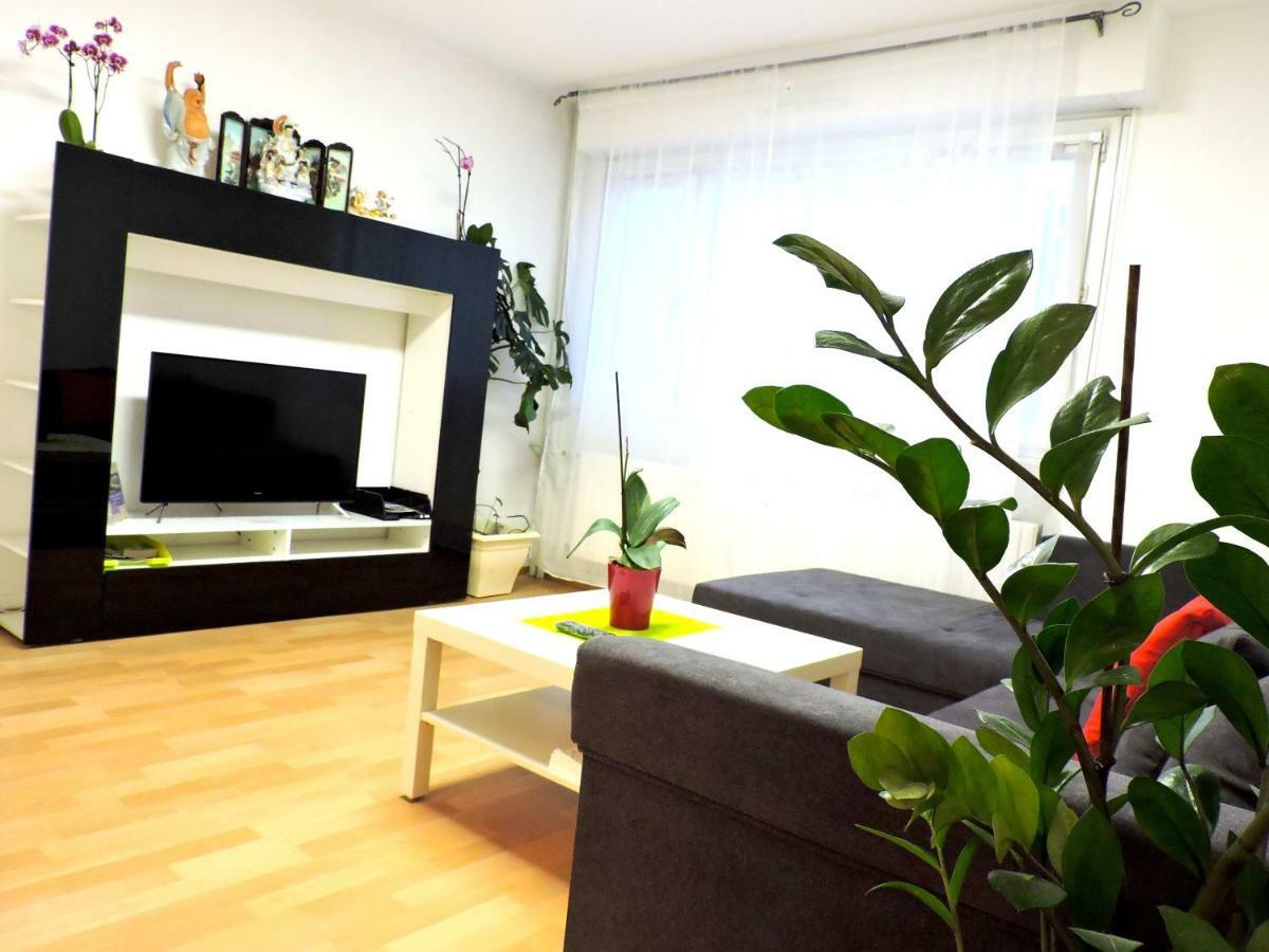 Private Big Appartment 59M2 - Near Airport Basel St Louis Saint-Louis  Exteriér fotografie